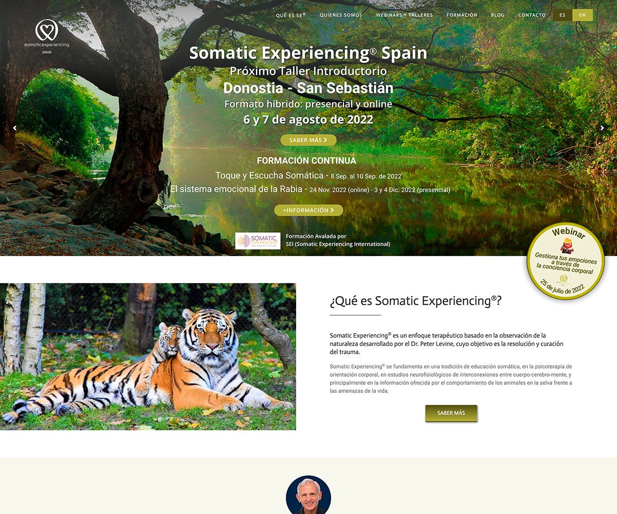 Somatic Experiencing